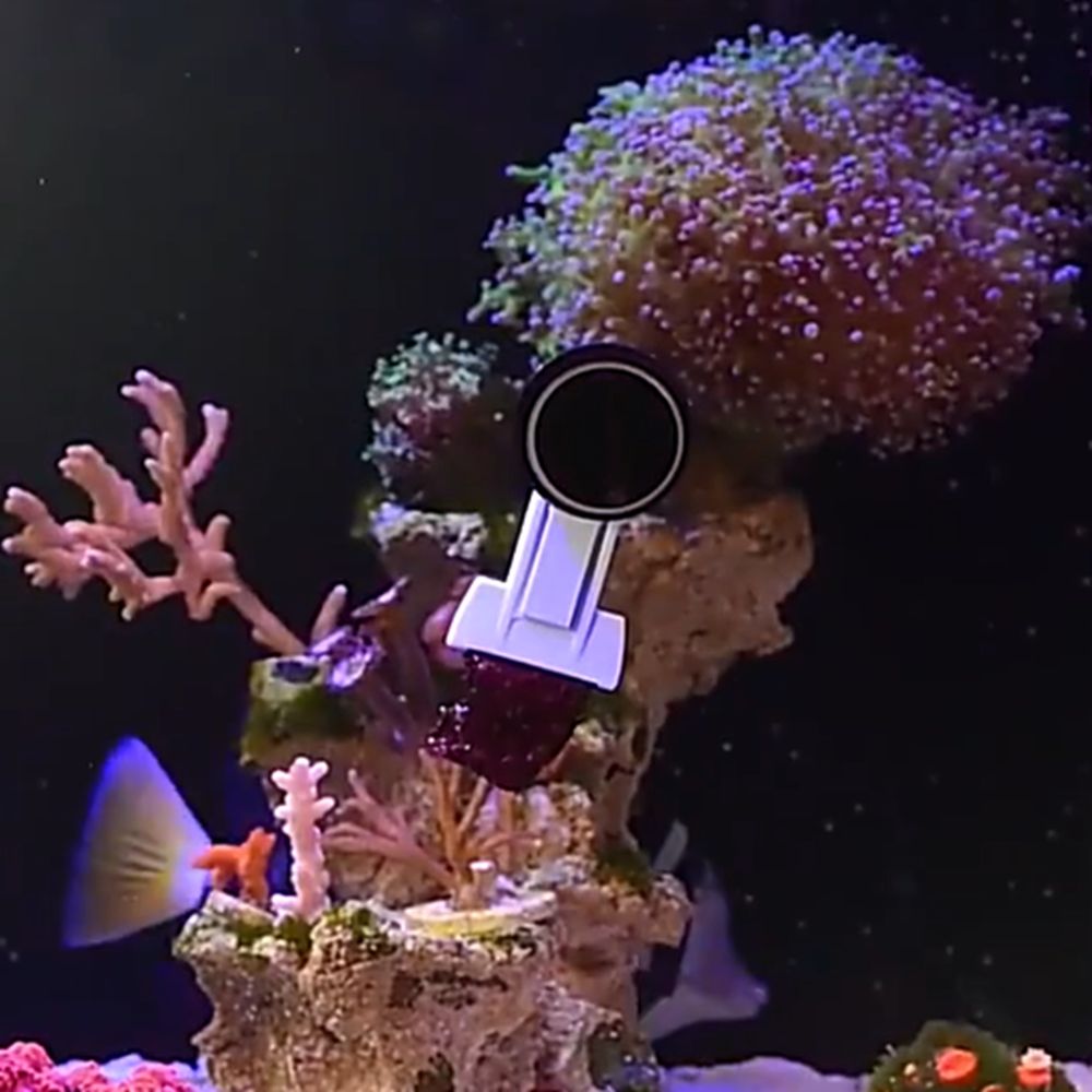 Pinza Magnética para Algas y V - Aquarium Marine Services reseña y precio