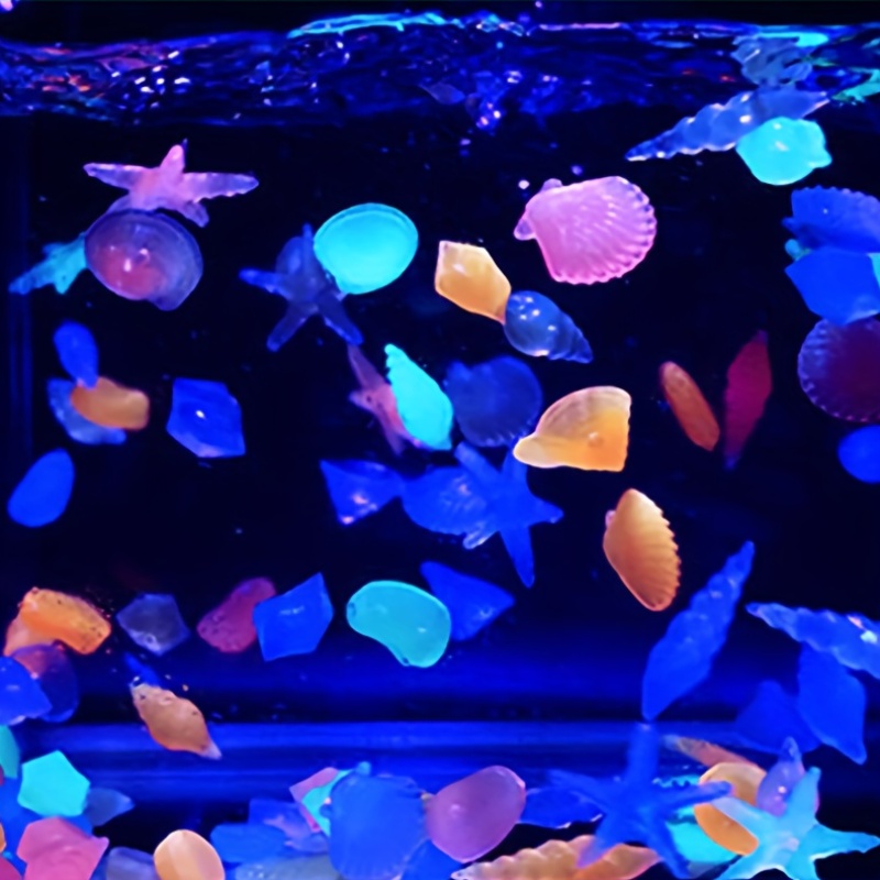 100 Uds. Piedras luminosas mar - Aquarium Marine Color reseña y precio