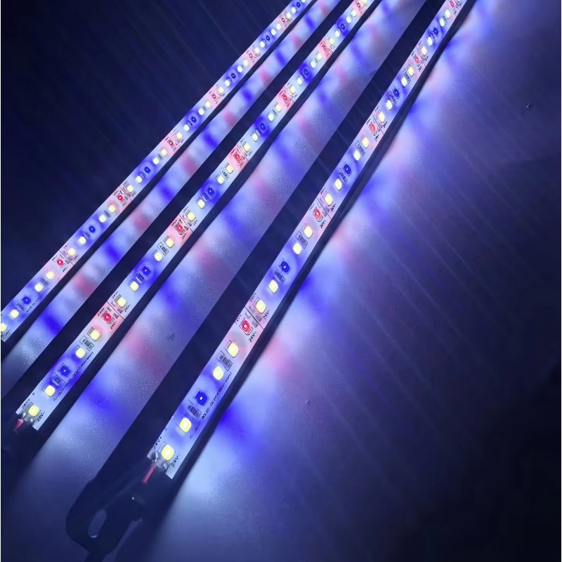 Barra de Luz LED para Acuario, - Aquarium Blue Marine Reef reseña y precio