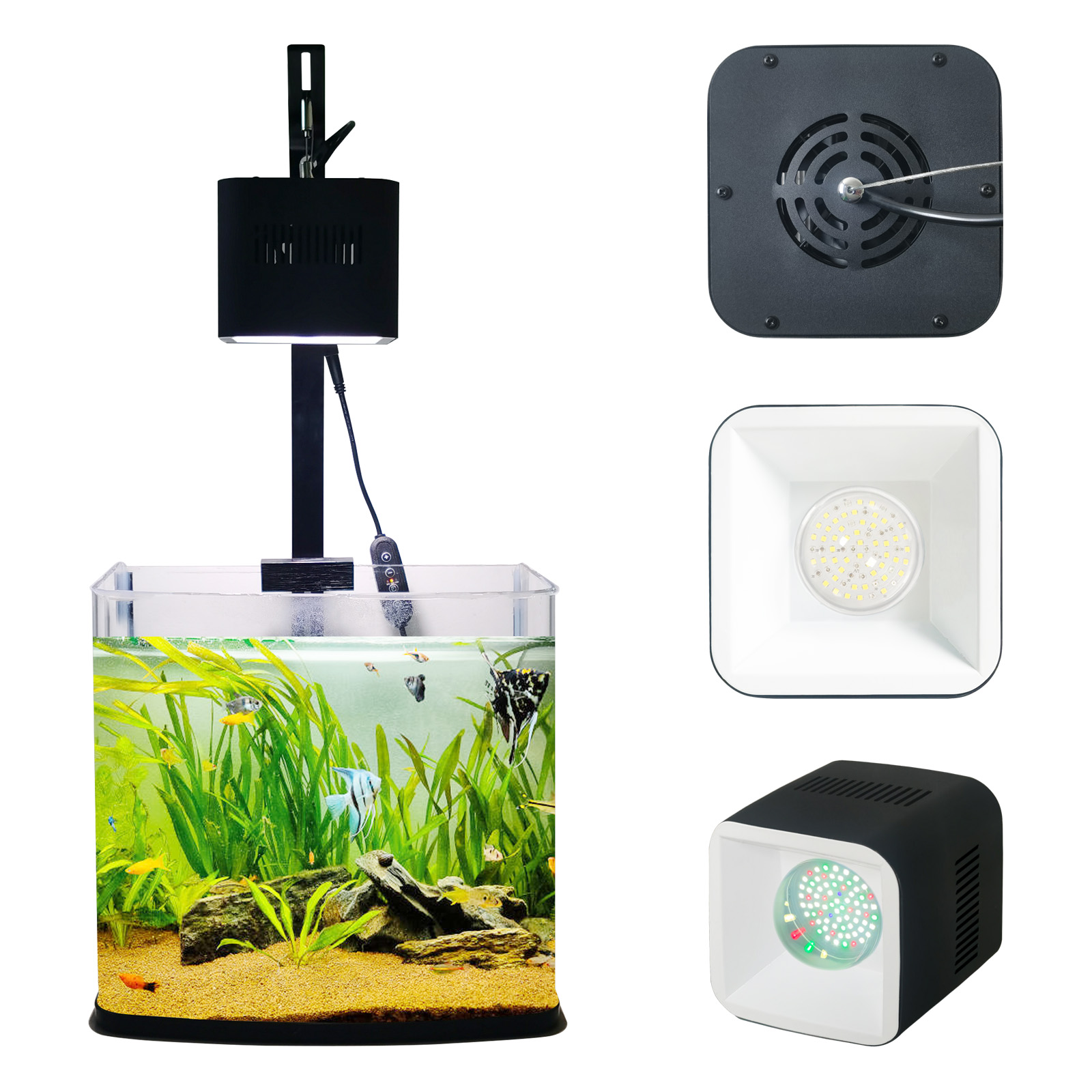 Panel de temporizador 8H 10H 1 - Aquarium Blue Marine Reef reseña y precio