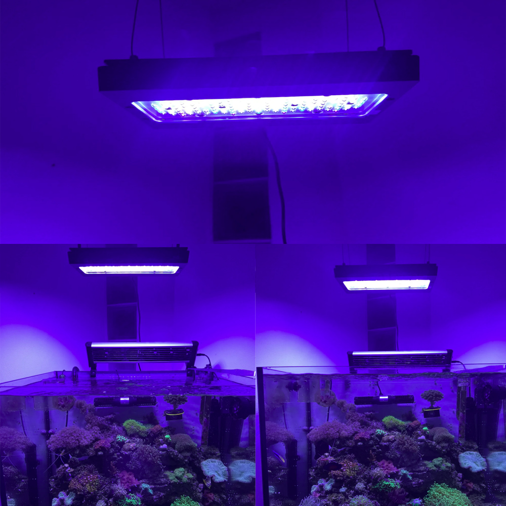 Luz LED para Acuario Marino A8 - Aquarium Blue Marine Reef reseña y precio