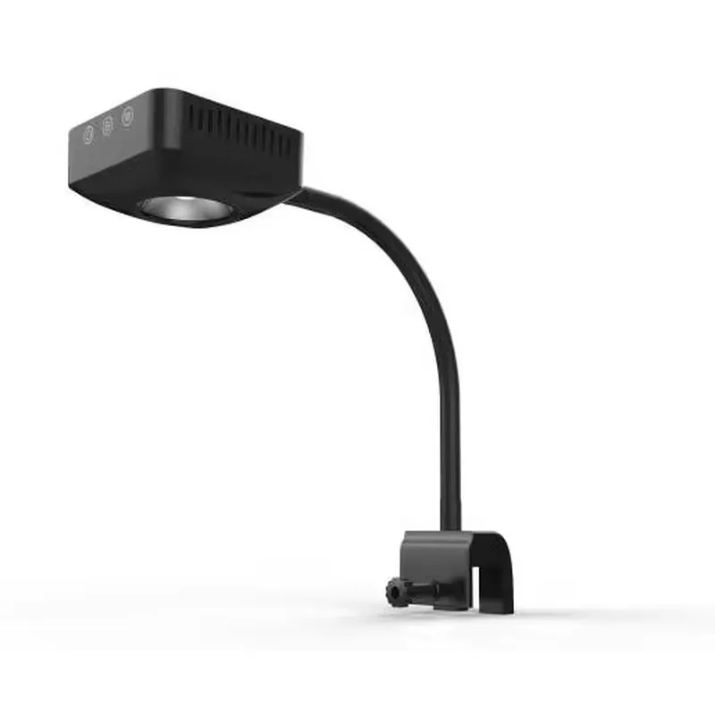 Accesorios Decorativos de Lujo - Aquarium Marine Color reseña y precio