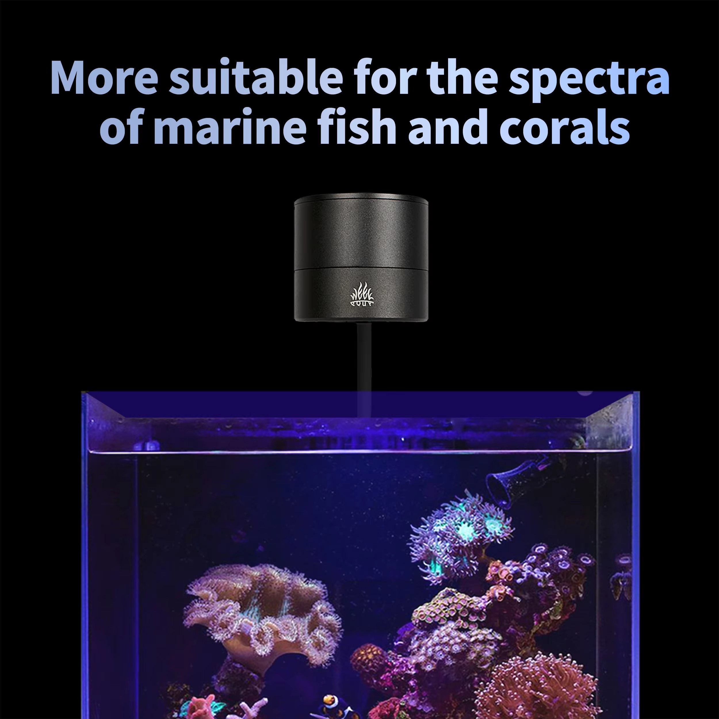 WEEK AQUA Fabricantes de Lámpa - Aquarium Blue Marine Reef reseña y precio