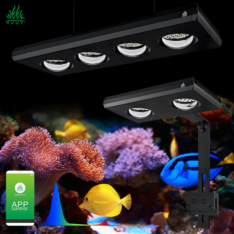 ZXY gran oferta WEEKAQUA Z250  - Aquarium Blue Marine Reef reseña y precio