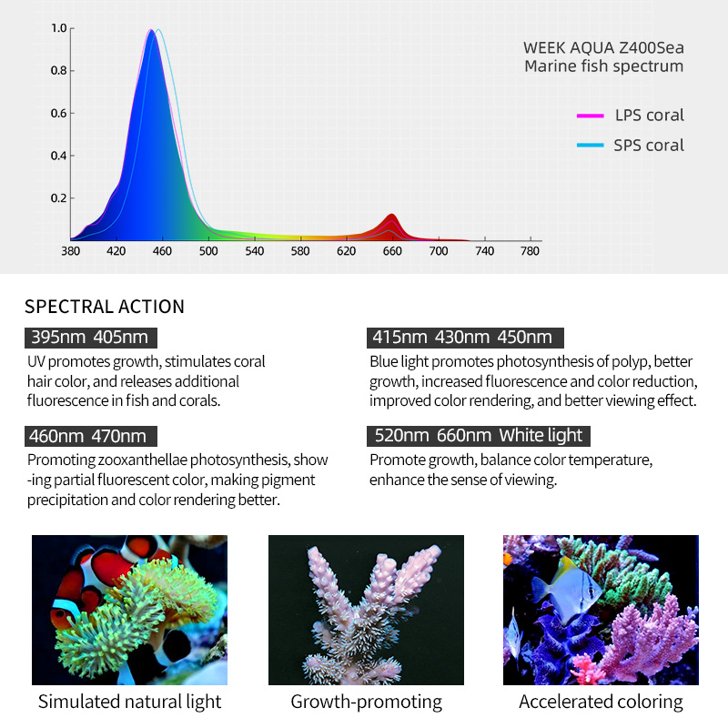 ZXY gran oferta WEEKAQUA Z250  - Aquarium Blue Marine Reef reseña y precio
