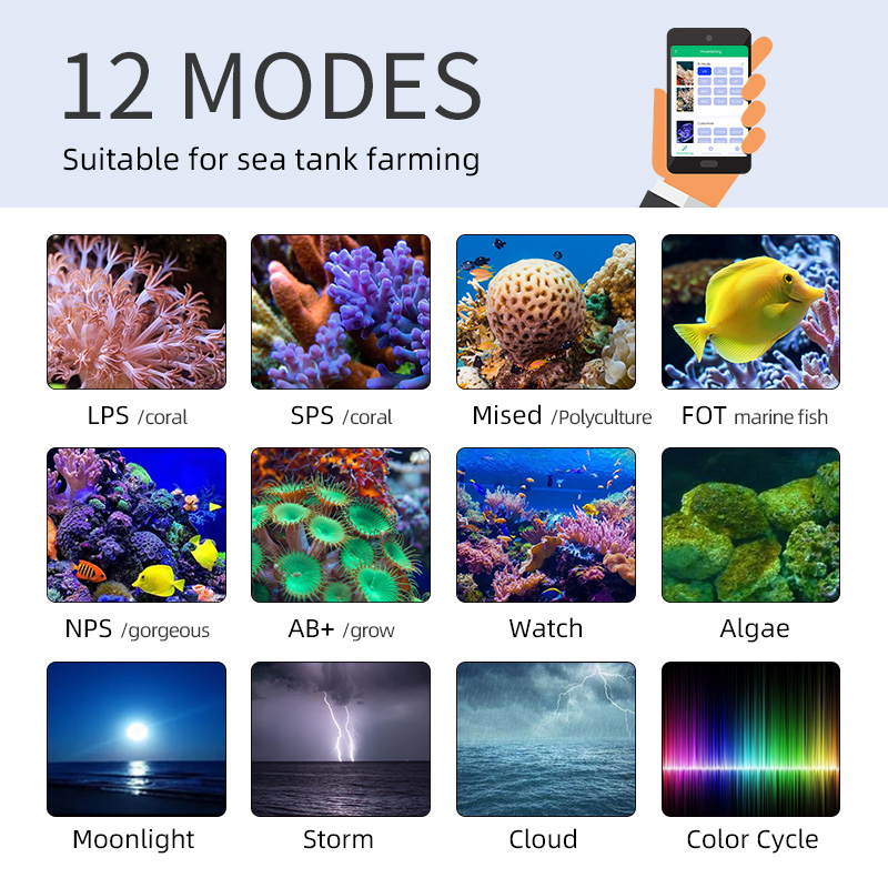 ZXY gran oferta WEEKAQUA Z250  - Aquarium Blue Marine Reef reseña y precio