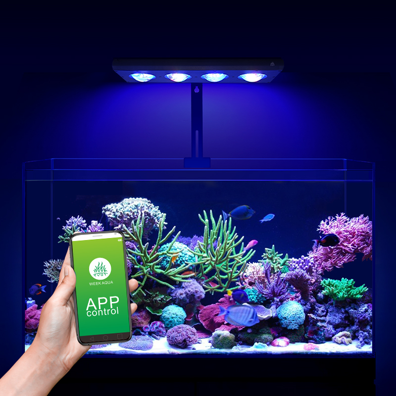 ZXY gran oferta WEEKAQUA Z250  - Aquarium Blue Marine Reef reseña y precio