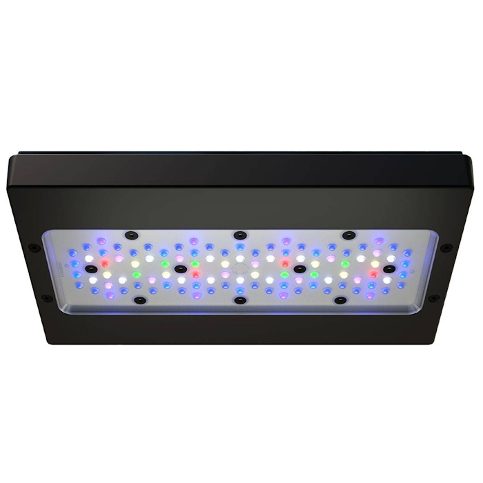 Lámpara LED para Acuario Marin - Aquarium Blue Marine Reef reseña y precio