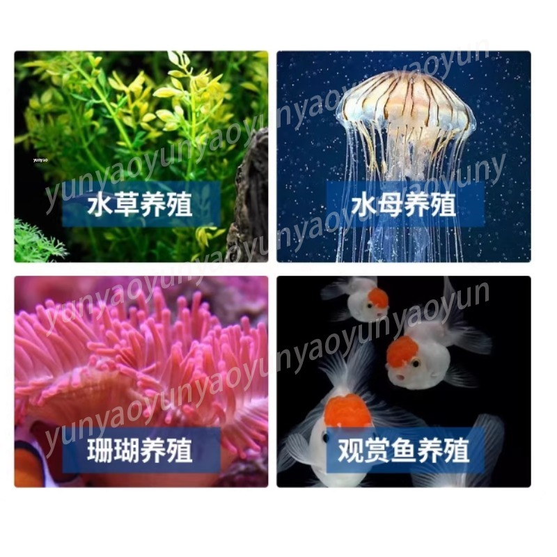 Enfriador de Acuario Pequeño c - Marine Aquarium Chiller reseña y precio