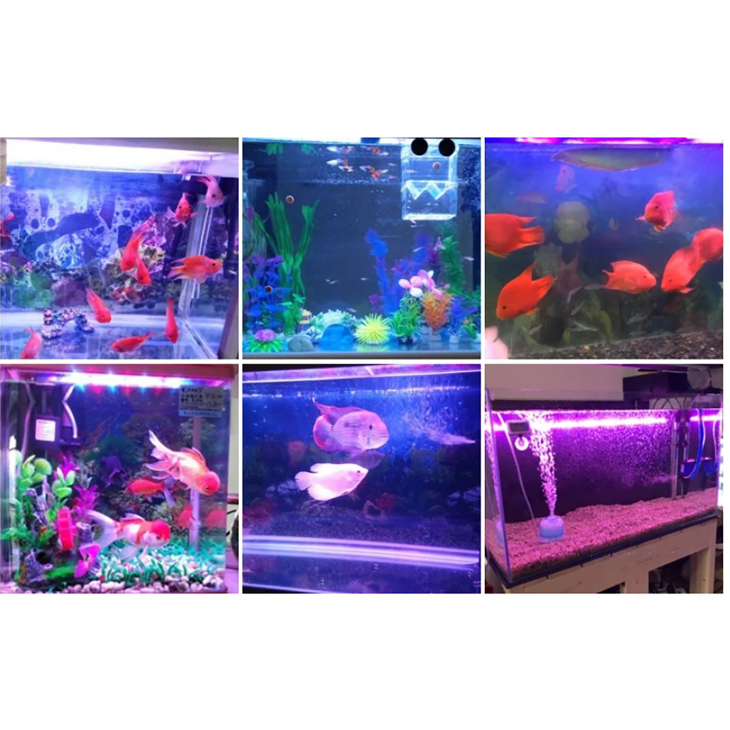 Iluminación LED para Acuarios  - Aquarium Marine Color reseña y precio