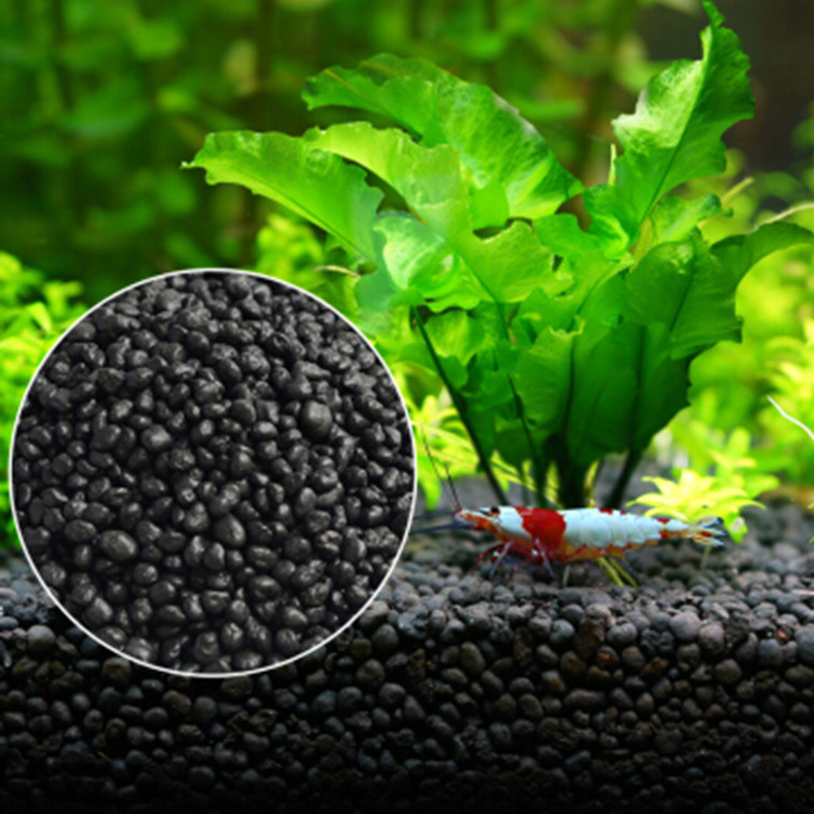 Semillas de plantas de Acuario - Aquarium Marine Sand reseña y precio