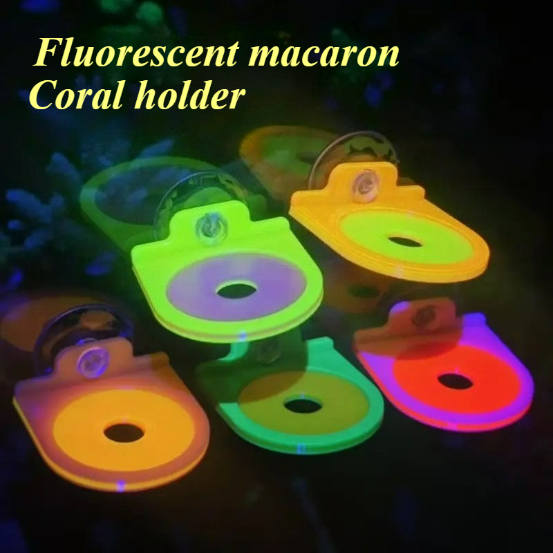 Soporte para Frag de Coral de  - Aquarium Marine Color reseña y precio